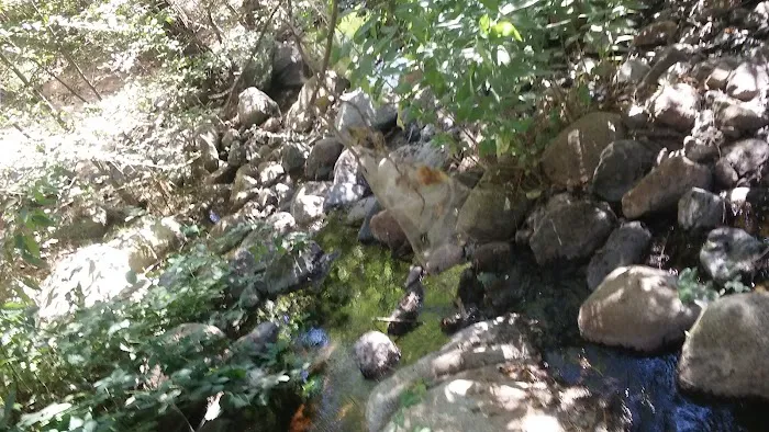 Alder Creek Campground 7