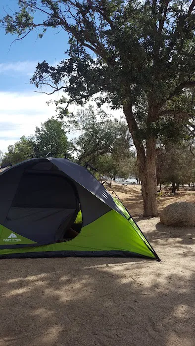 PIONEER POINT 6