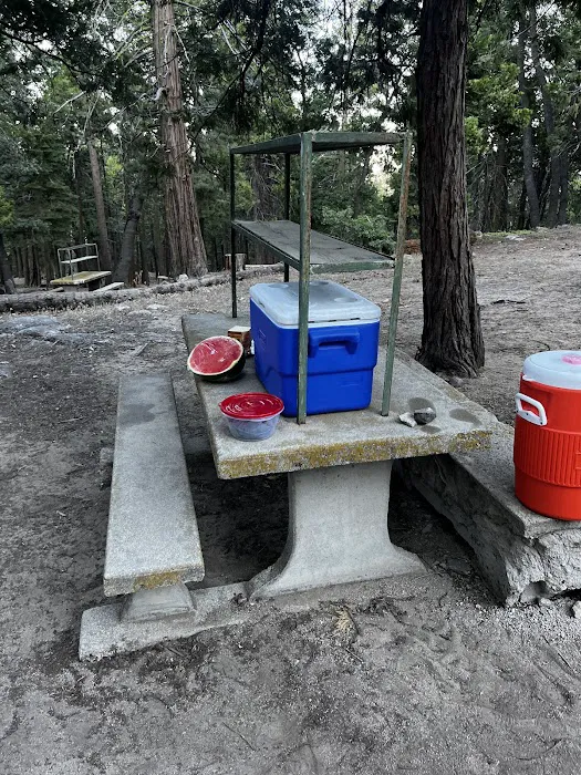 Shirley Meadows Campground 6