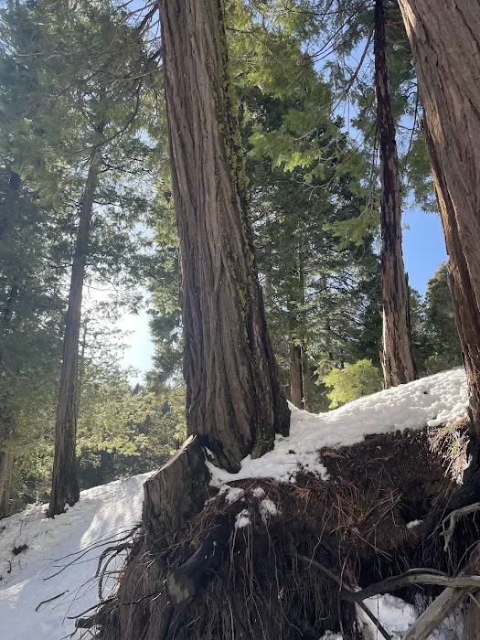 Shirley Meadows Campground 4