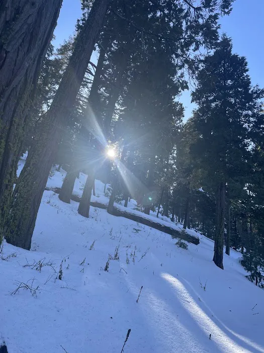 Shirley Meadows Campground 5