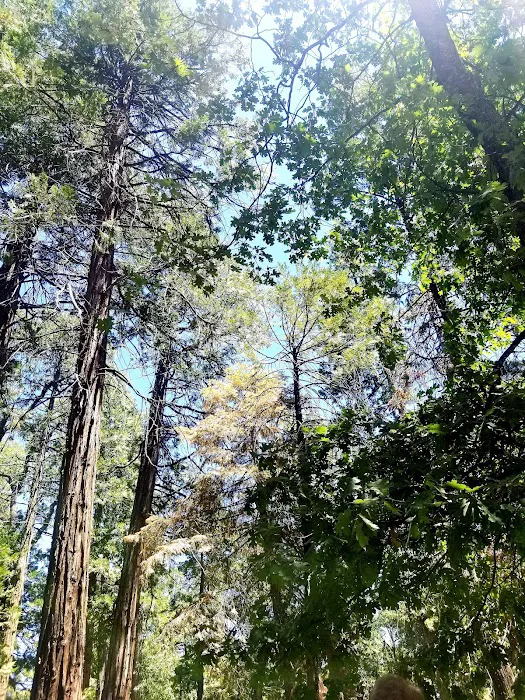 Shirley Meadows Campground 9