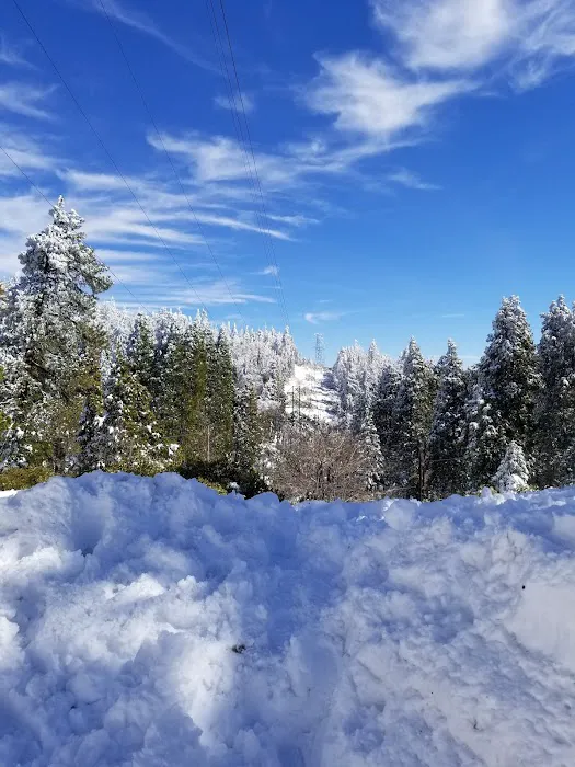 Greenhorn Mountain Park 9