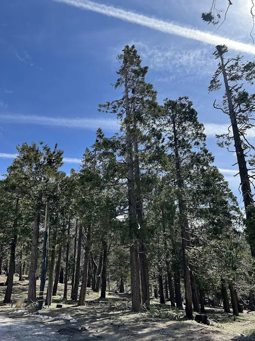 Greenhorn Mountain Park 1