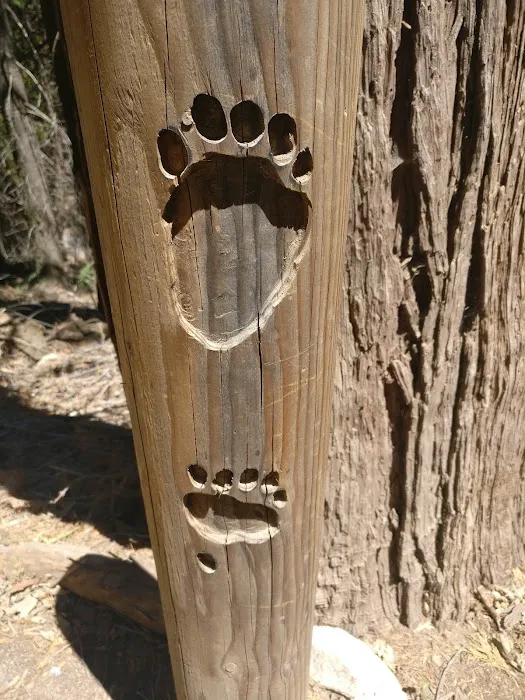 Greenhorn Mountain Park 6