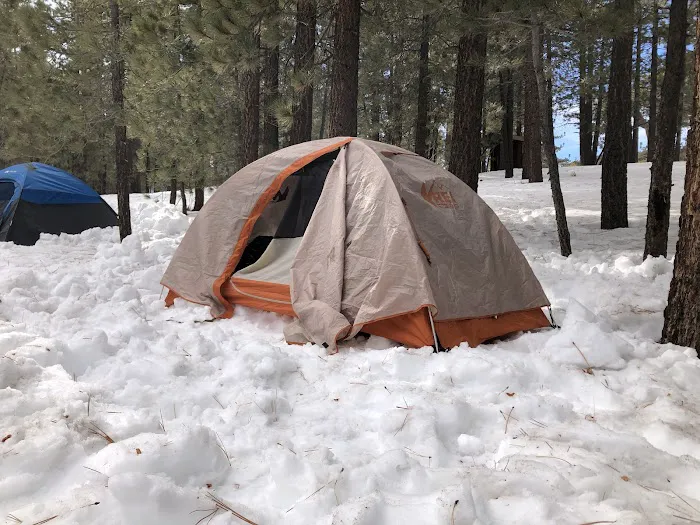 Chula Vista Walk-In Campground 5