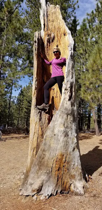 Chula Vista Walk-In Campground 7