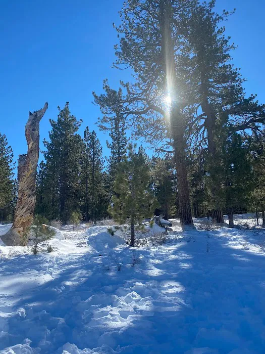 Chula Vista Walk-In Campground 3