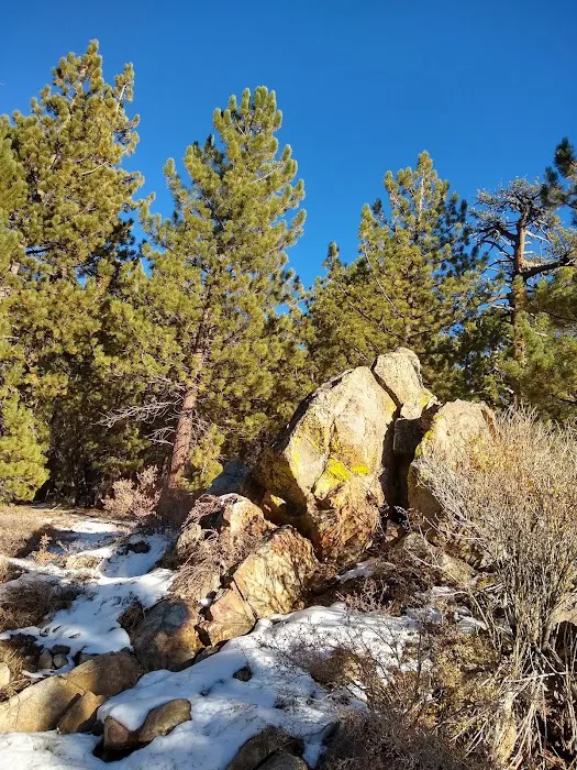 Chula Vista Walk-In Campground 8