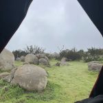 The Oak Grove at Splitrock Farm