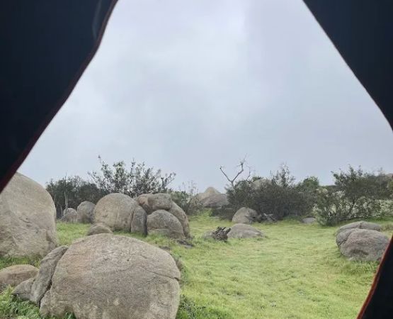 The Oak Grove at Splitrock Farm