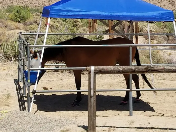 Black Canyon Group and Equestrian Campground 0