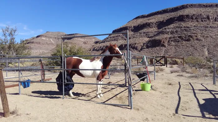 Black Canyon Group and Equestrian Campground 2
