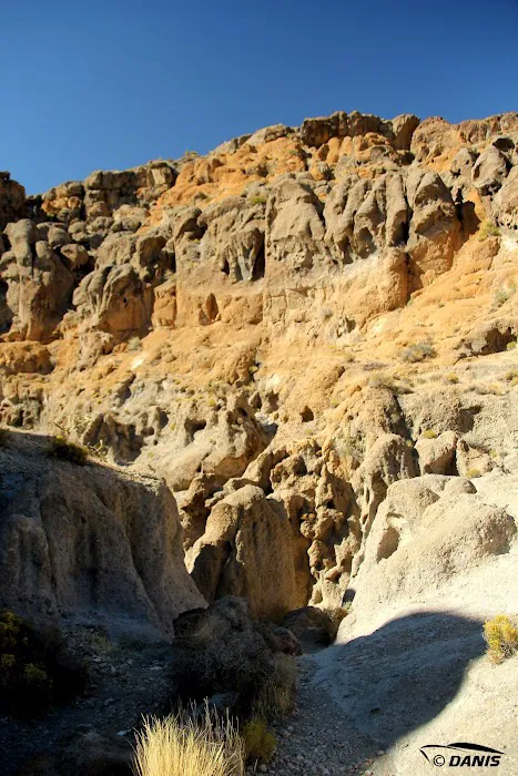 Black Canyon Group and Equestrian Campground 8
