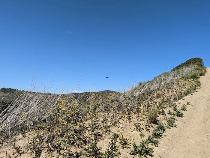 Moro Campground 1