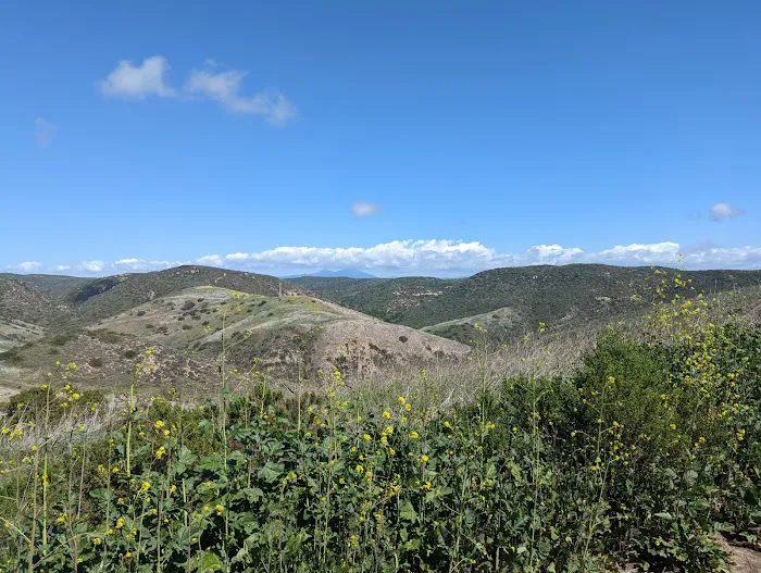Moro Campground 5