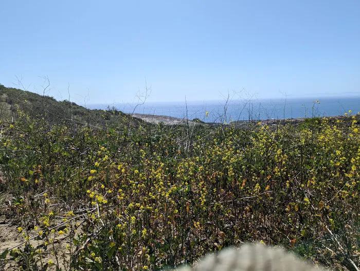 Moro Campground 8