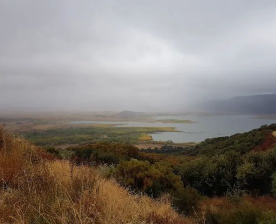 Henshaw Scenic Vista