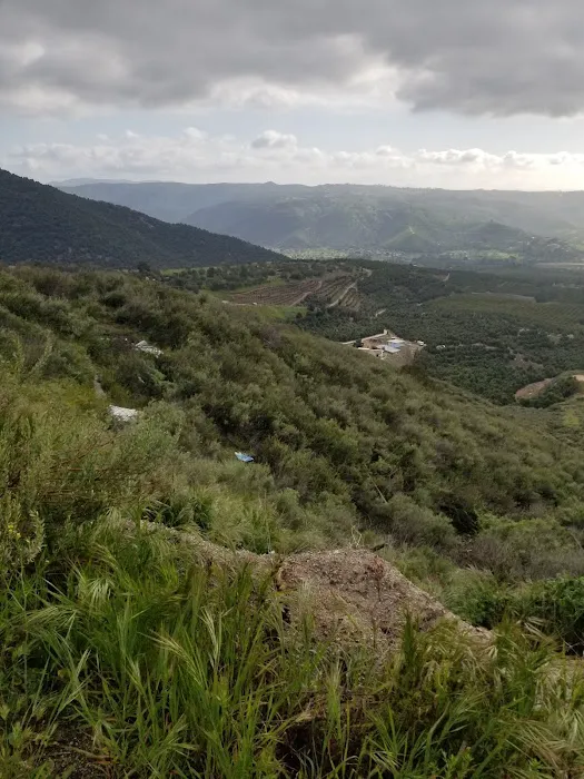 Henshaw Scenic Vista 6