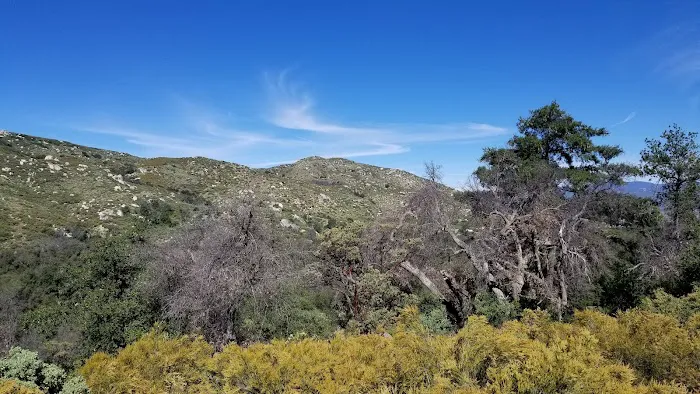 Mataguay Scout Ranch 3