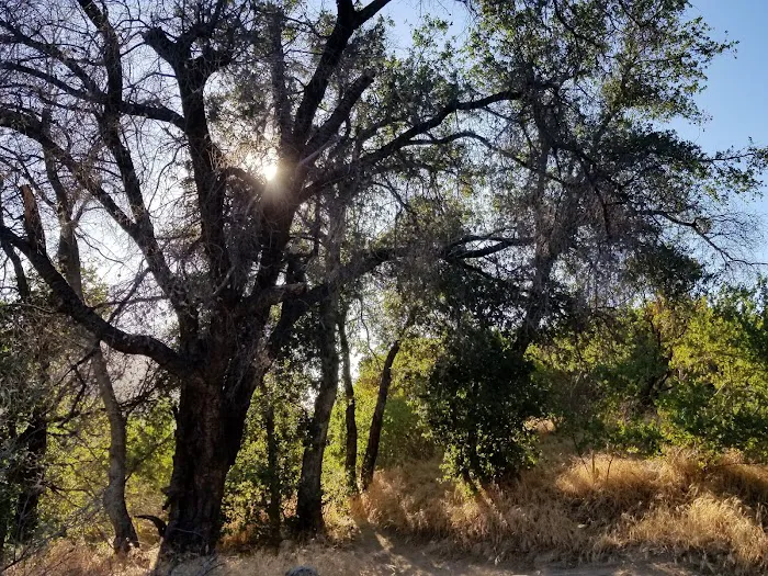 Mataguay Scout Ranch 4