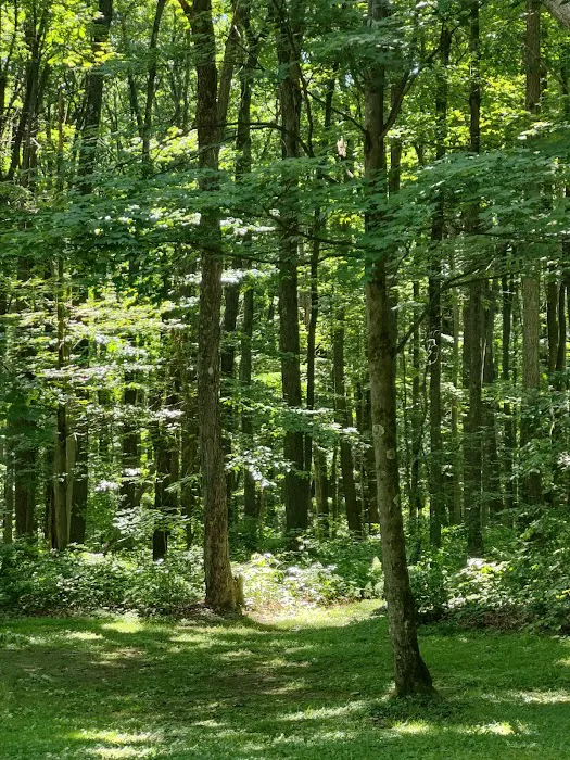 McCollum Campground 7