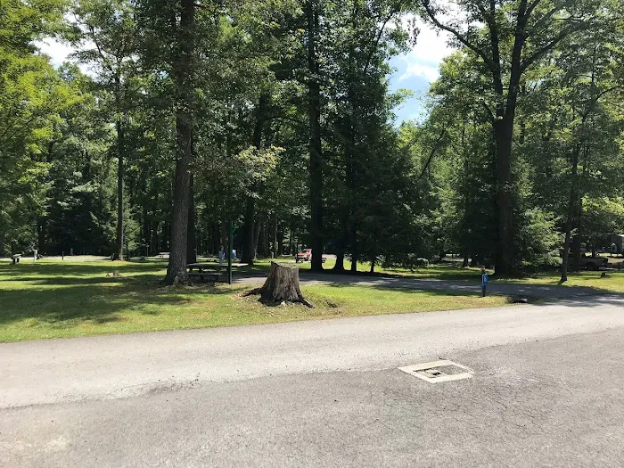 McCollum Campground 5