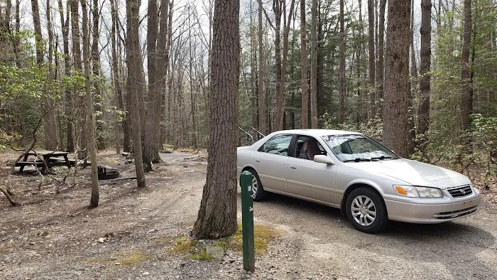 Rhododendron Camping Area 0