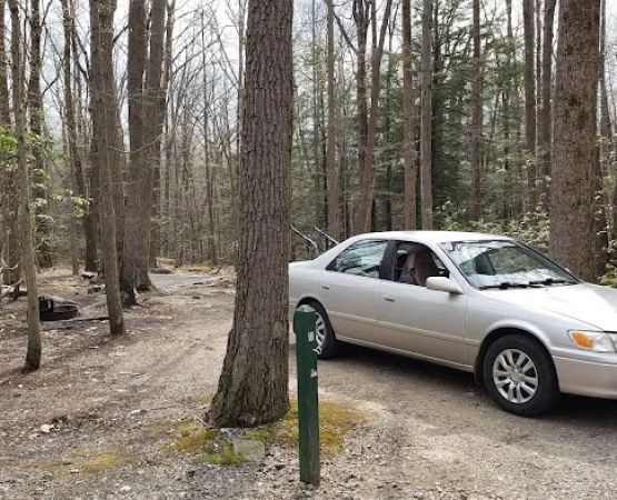 Rhododendron Camping Area