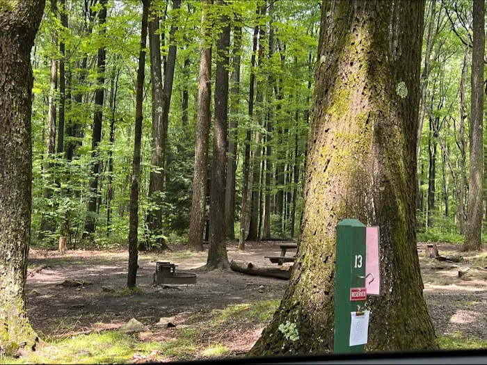 Rhododendron Camping Area 4