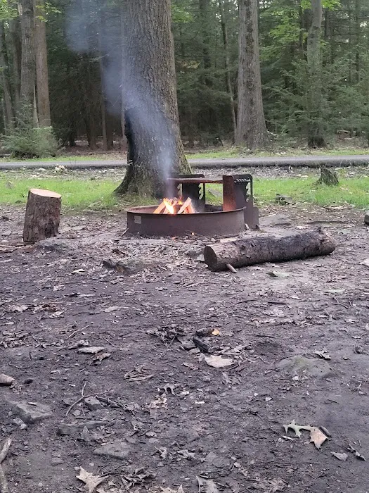 Rhododendron Camping Area 3