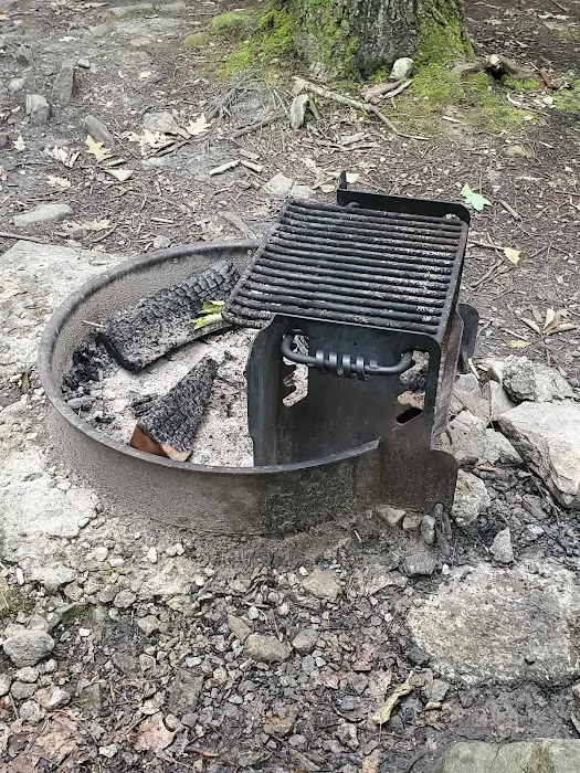 Rhododendron Camping Area 5