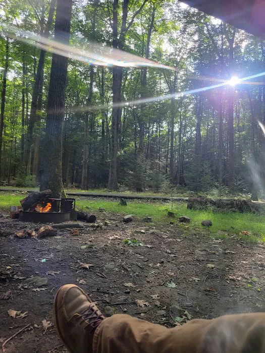 Rhododendron Camping Area 9