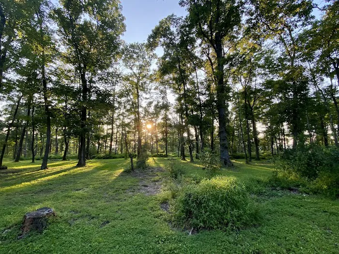 Sand Springs Campground 8