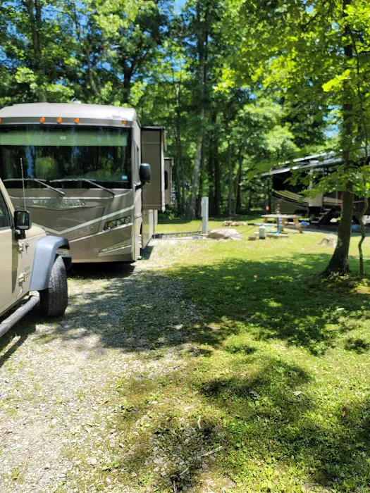 Sand Springs Campground 7