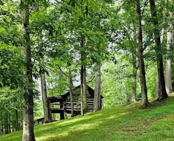 Camp Muffly