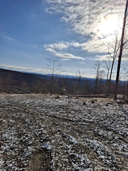 Camping Site -Shephard Rd 2