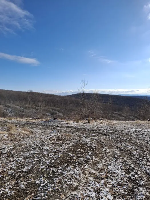 Camping Site -Shephard Rd 0