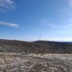 Camping Site -Shephard Rd