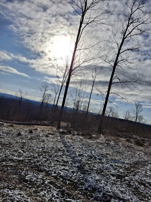 Camping Site -Shephard Rd 1