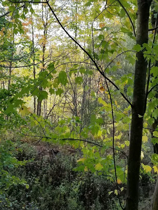 Tamarack Campgrounds 4