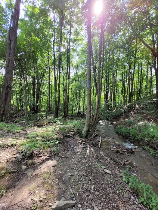 Tamarack Campgrounds 6