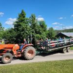 Layland Finger Lakes