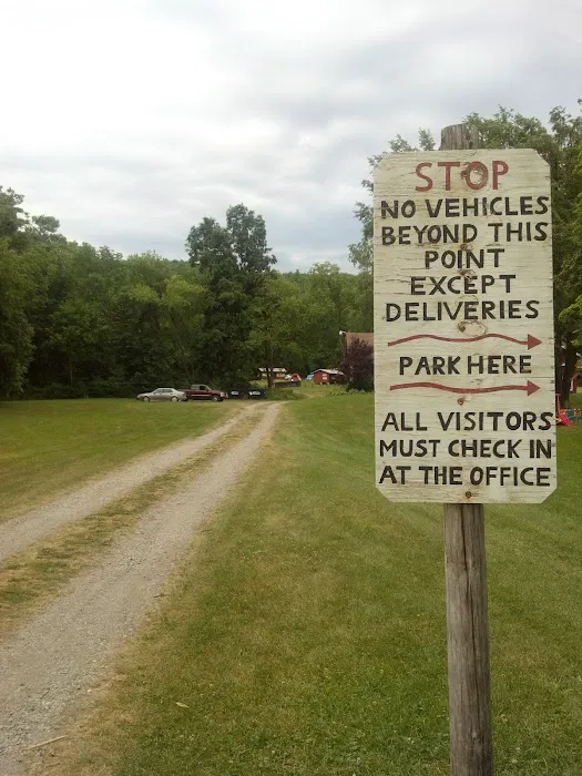 Camp Koinonia NY 0
