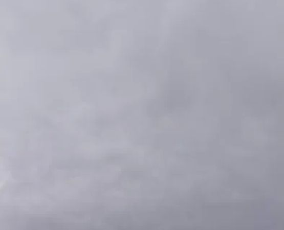 Coyote Run