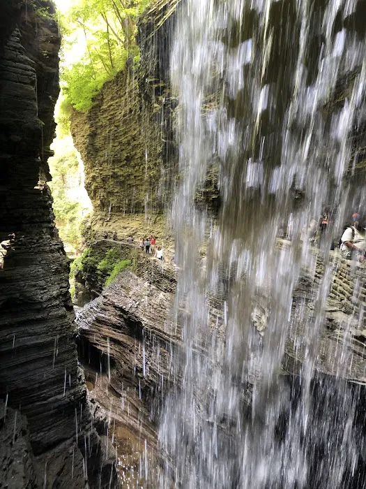 Watkins Glen State Park Six Nations Camping Area 3