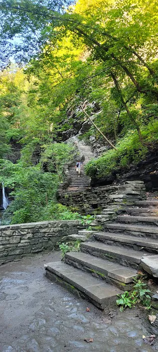 Watkins Glen State Park Six Nations Camping Area 9