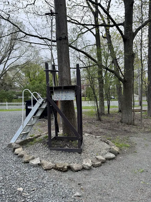 OFF THE BEATEN PATH OF WATKINS GLEN Campground 9