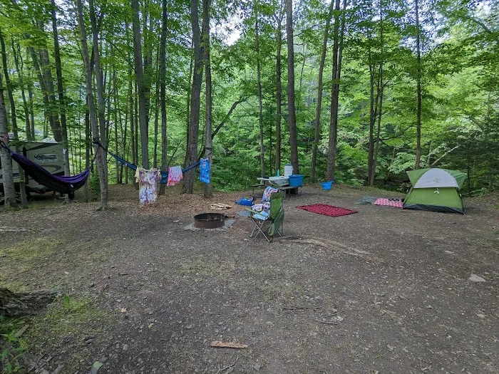 Group Camp Entrance, Stony Brook 0