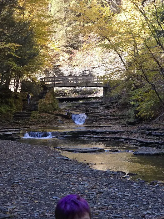 Group Camp Entrance, Stony Brook 1